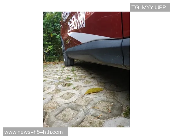 杨瀚森分享球迷日感受原本准备英文歌曲却暂时搁置